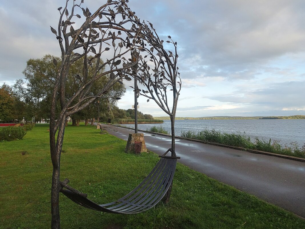 «Дерево любви»  в себежском парке - Лидия Бусурина