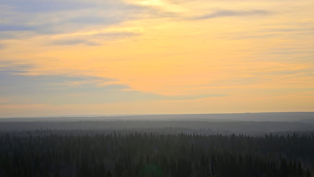 - - Владимир Мигонькин