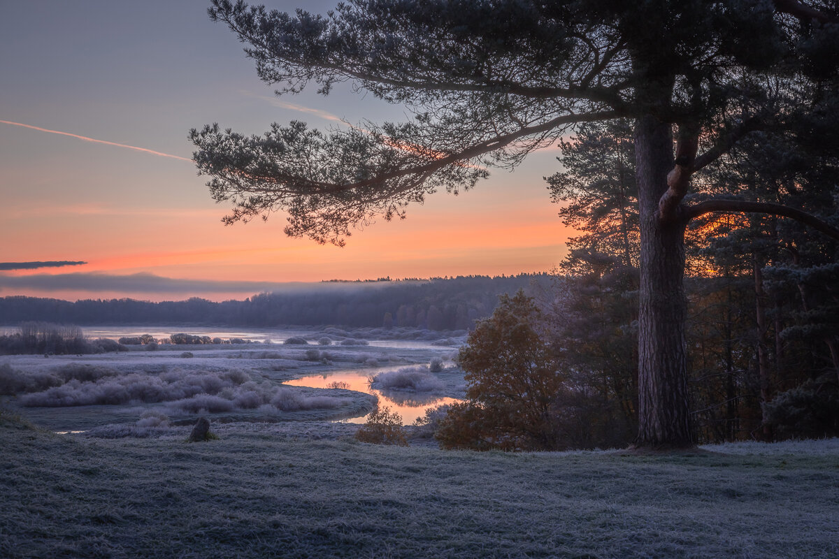 **** - Елизавета .