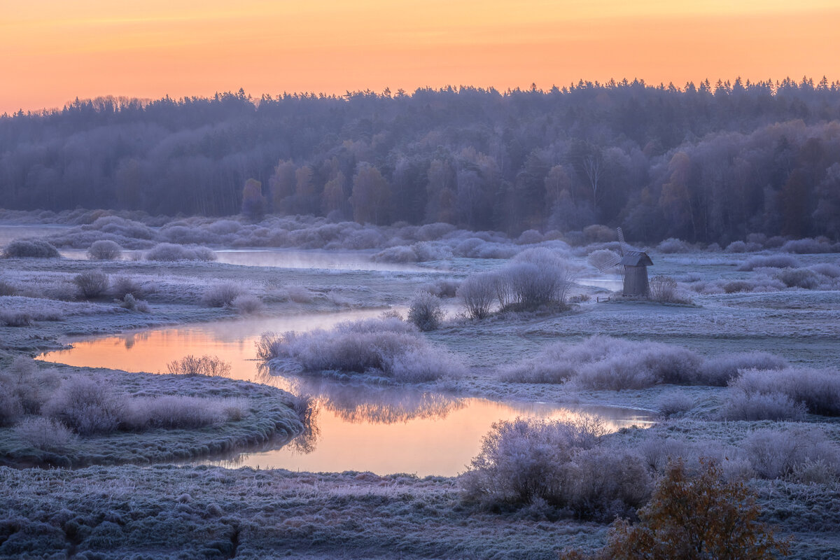 **** - Елизавета .