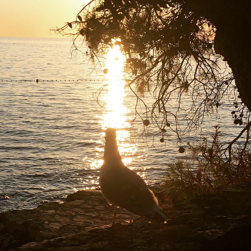 В лучах заката - Натали 