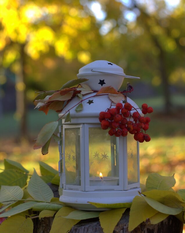 Октябрь - Оксана Новик 