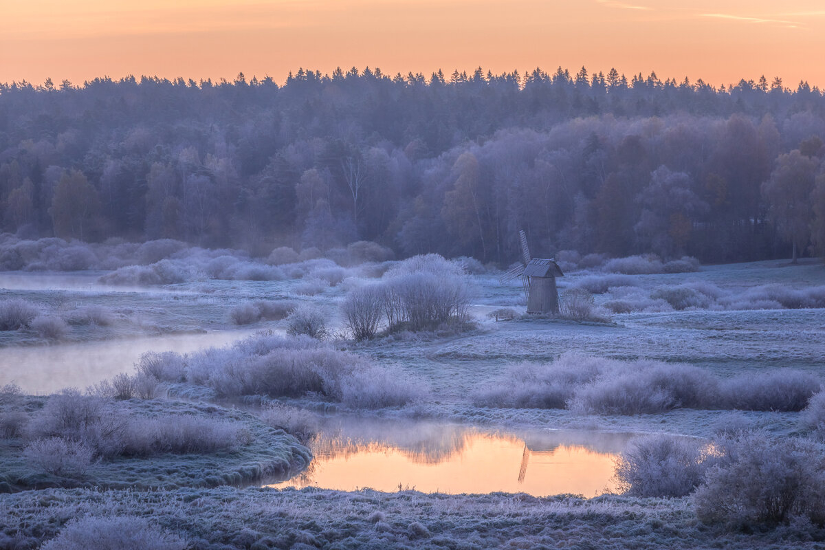 **** - Елизавета .