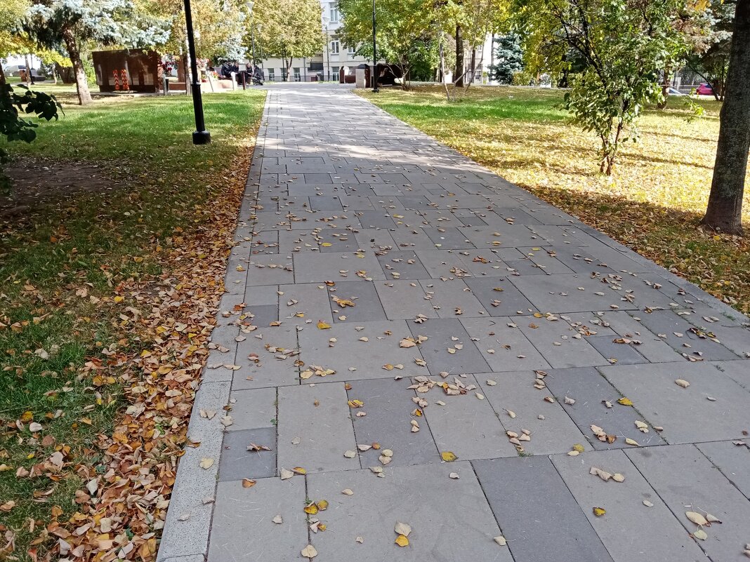 Осень в Москве. - Владимир Драгунский