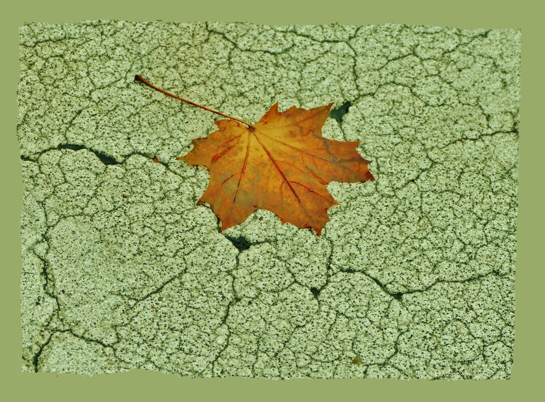 этюд - Elvira E. 