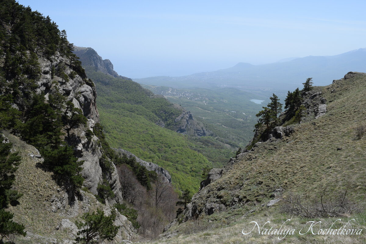 Природа Крыма - Amazing Cosmea Природа Крыма - Amazing Cosmea