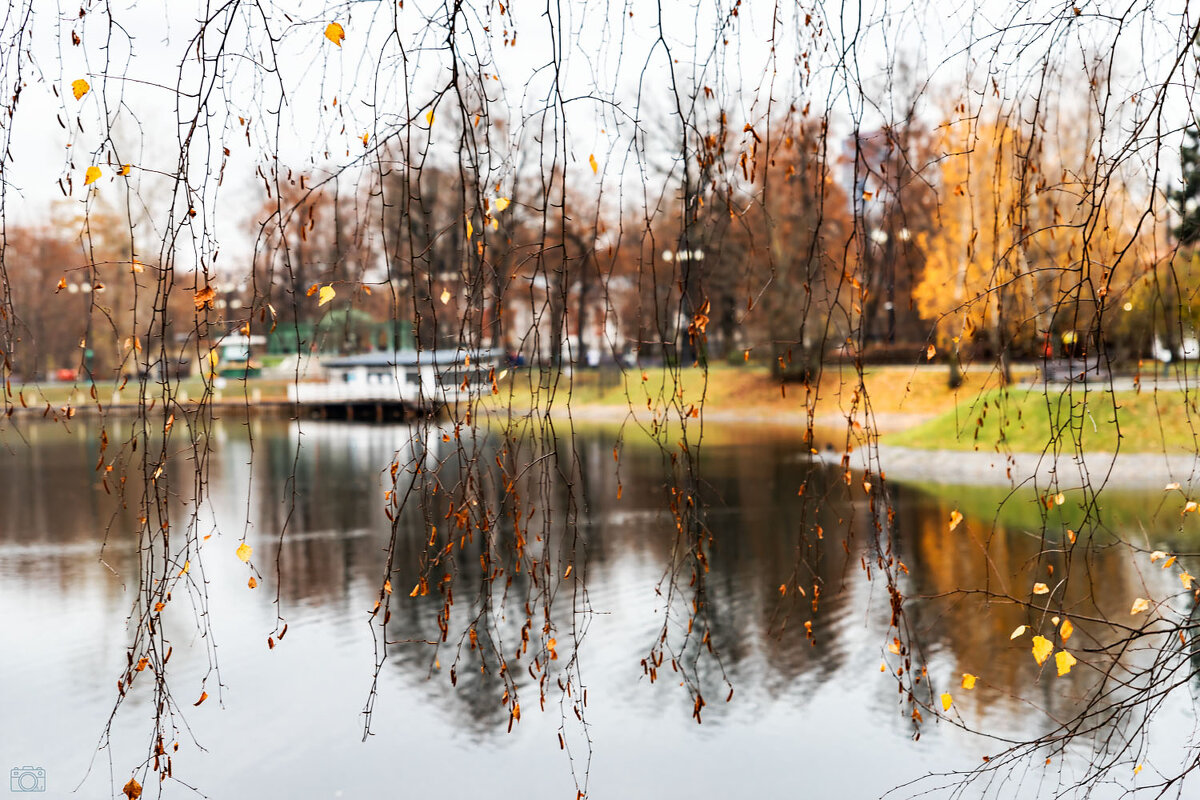 Осень - Александр 