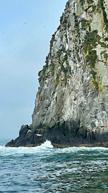 Скала в море - Аркадий Басович