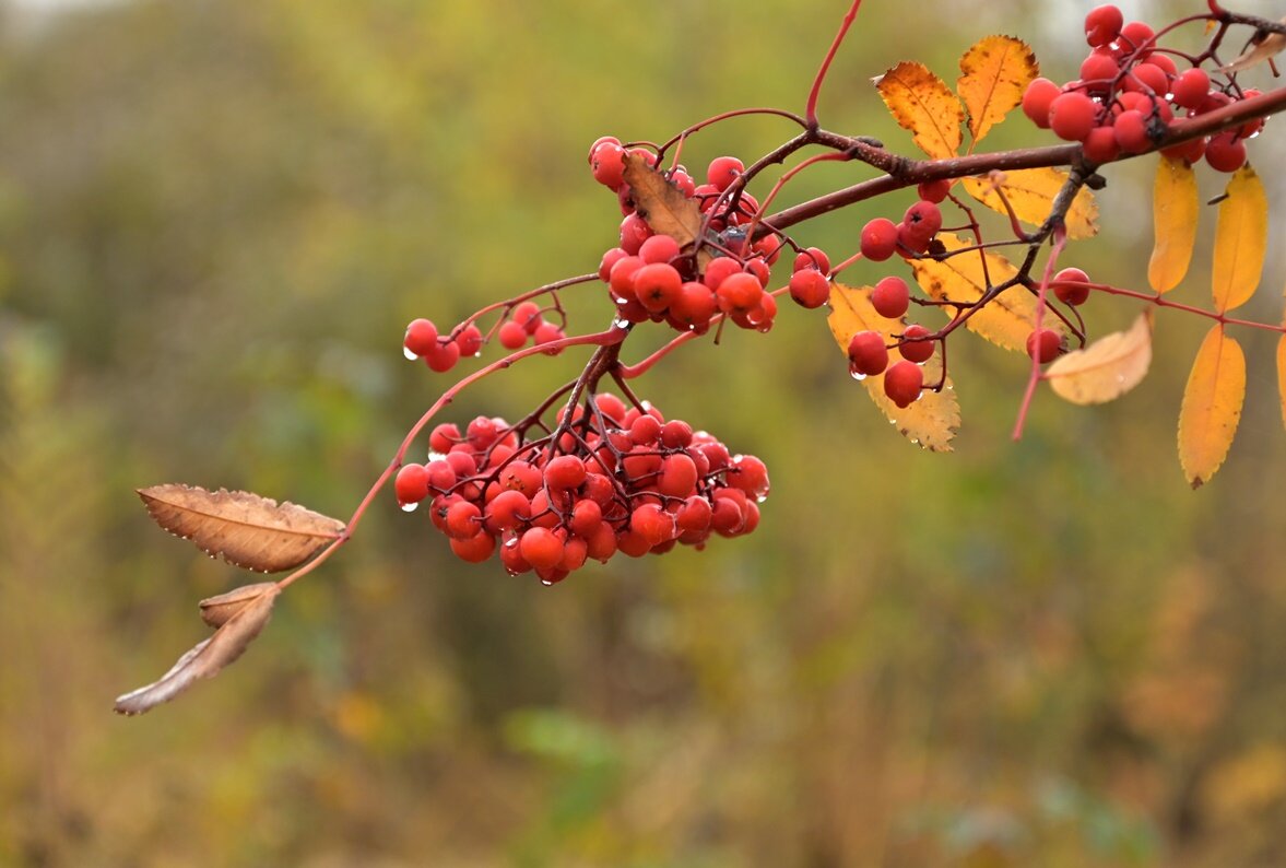 Потеплело... - Алекс Б-в