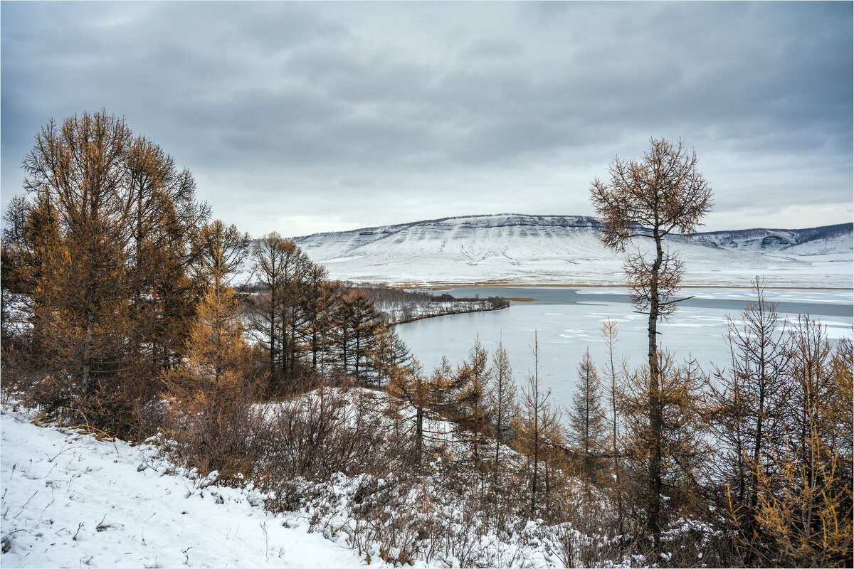 Ноябрь - Алексей Мезенцев Ноябрь - Алексей Мезенцев