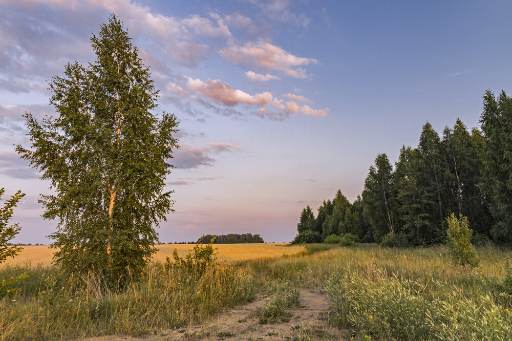 В сентябре . - Александр Иванович Шитов