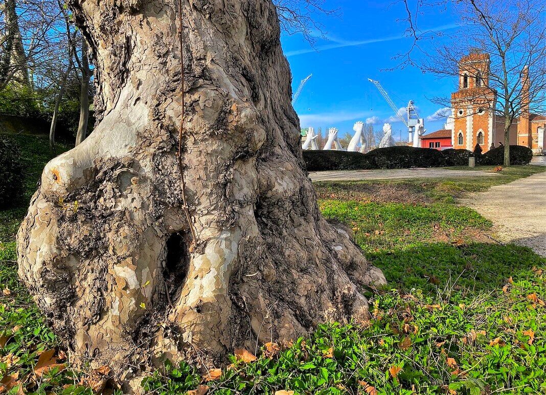 Осень в Венеции - Aida10 