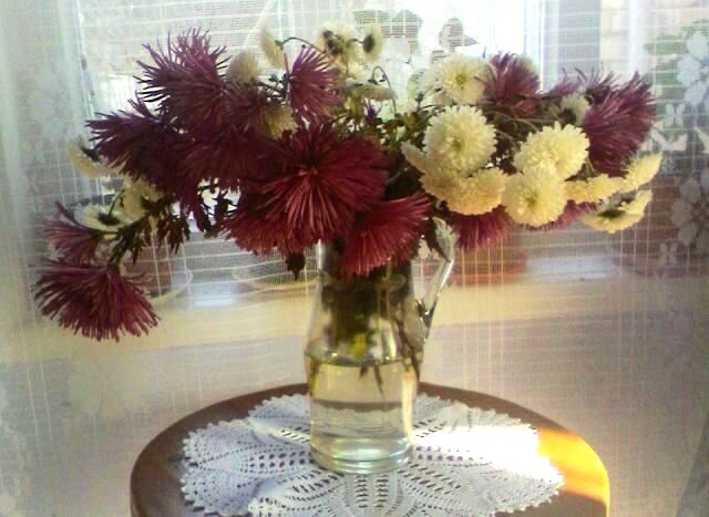 Воспоминания... - Наталья 