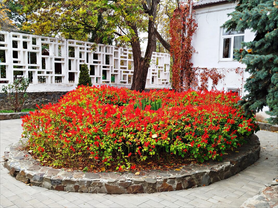 Яркость осени! - Надежда 