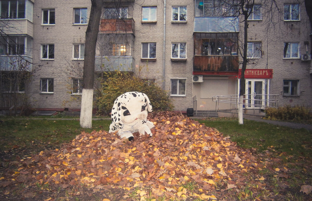 Утренняя история - Sergei Vikulov