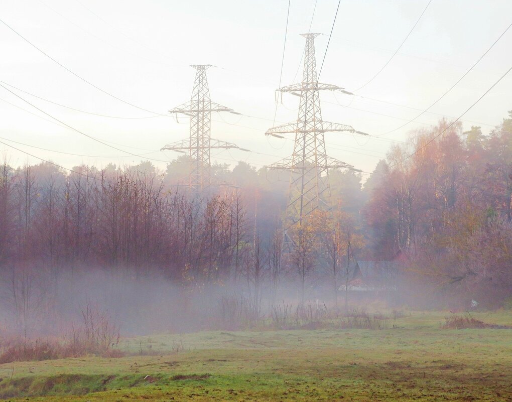 В утреннем тумане - Андрей Снегерёв