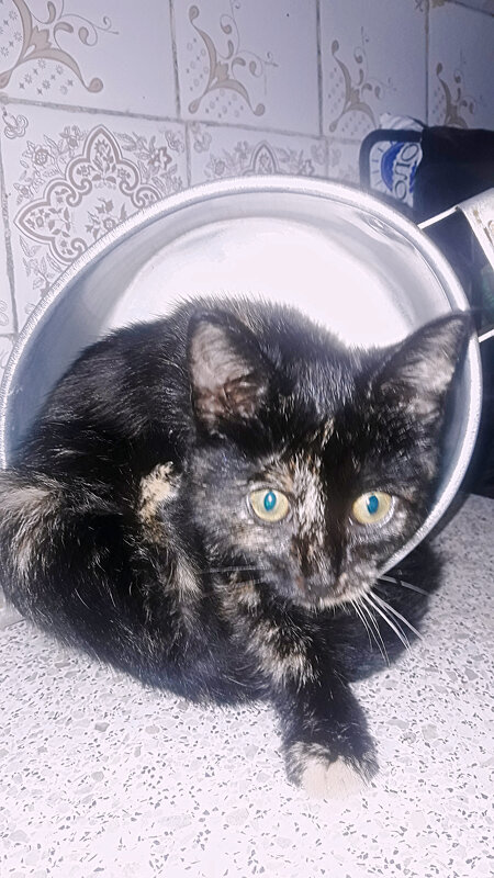 Принцеса - Сергей Кочнев