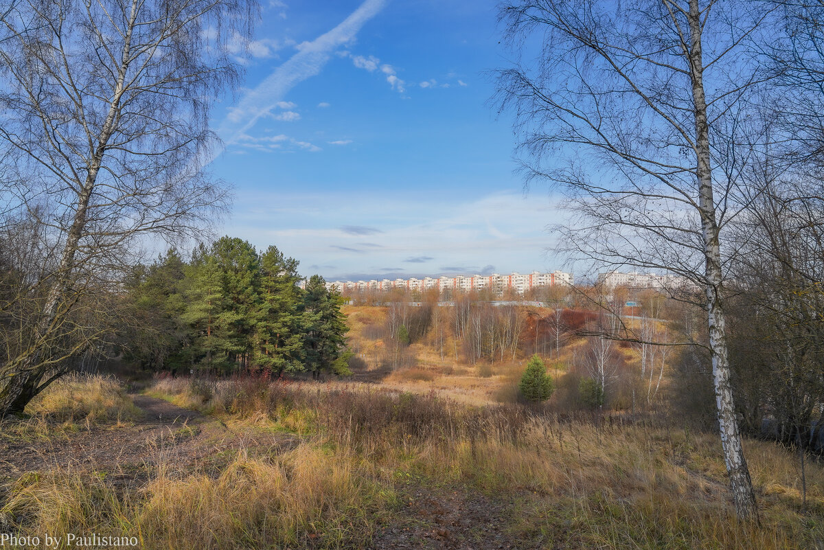 Палитра ноября... - Владимир Жданов Палитра ноября... - Владимир Жданов