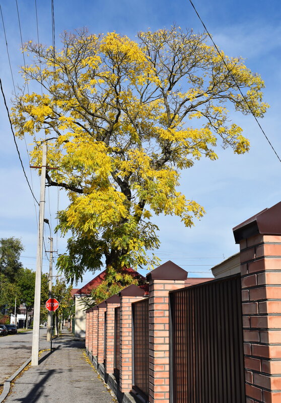 Осень в городе - Константин Штарк