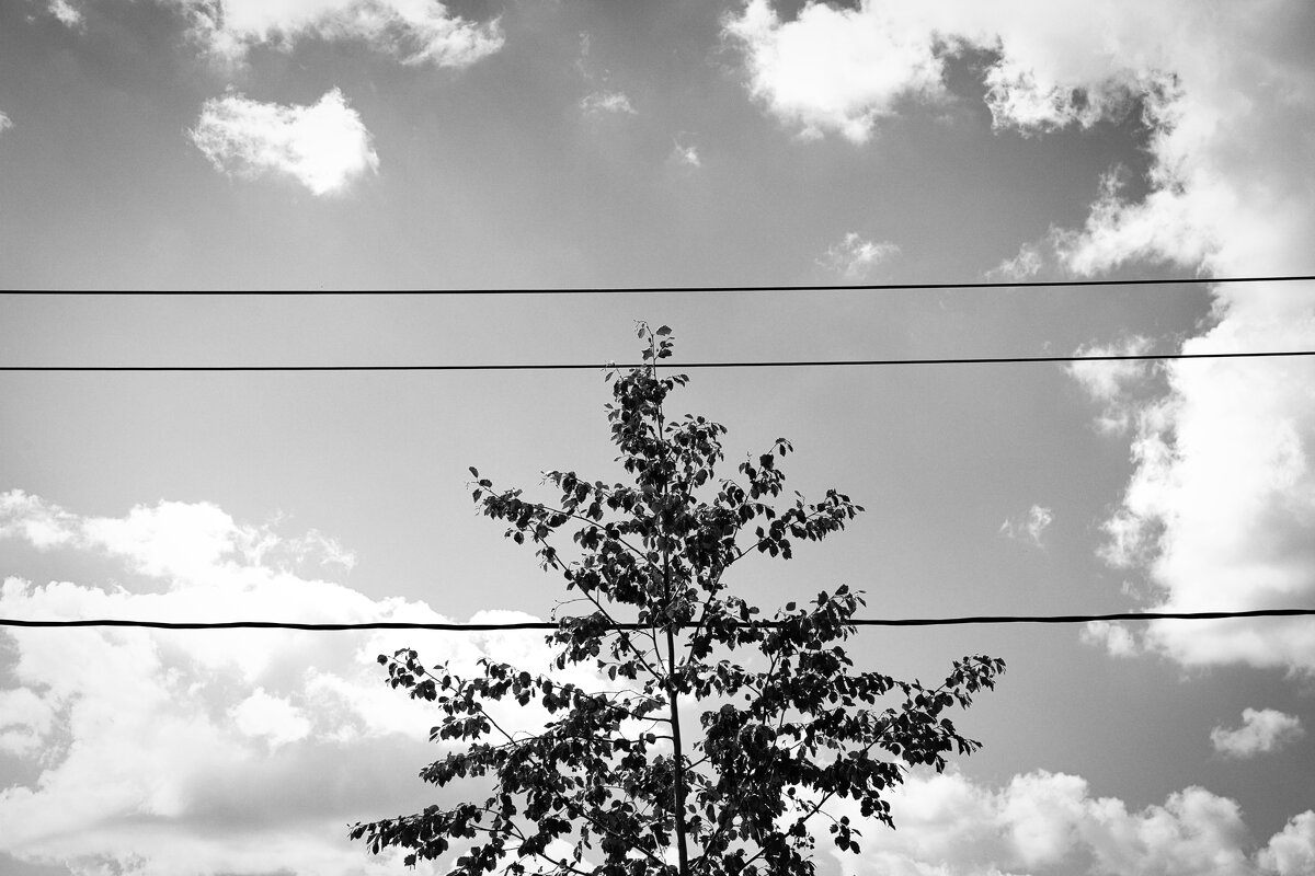 Фотография - Денис Безногов