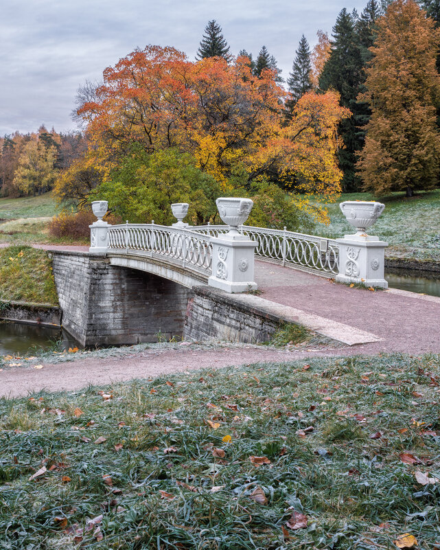 Про Питер - Владимир Колесников
