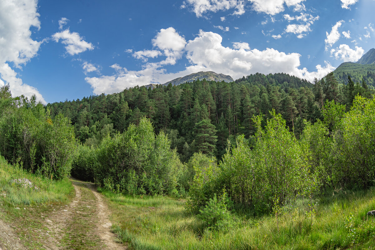 Приэльбрусье - Максим 