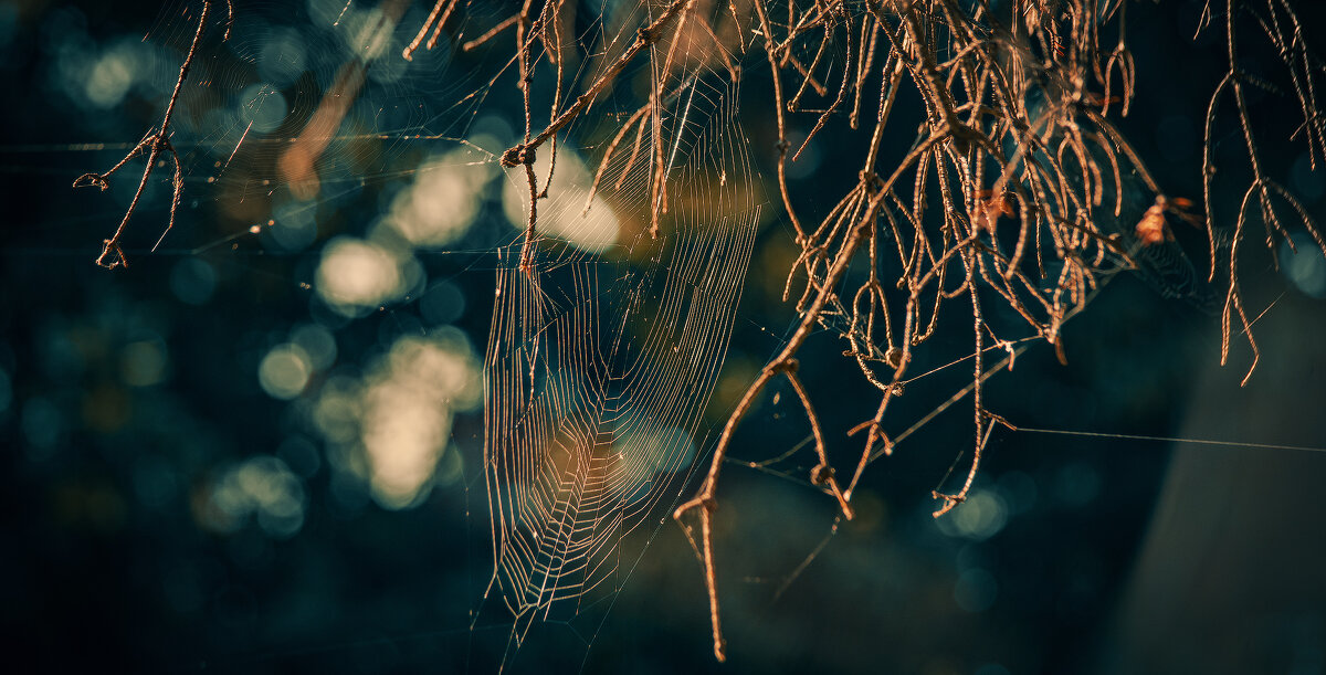 *** - Виктор Иванович Чернюк