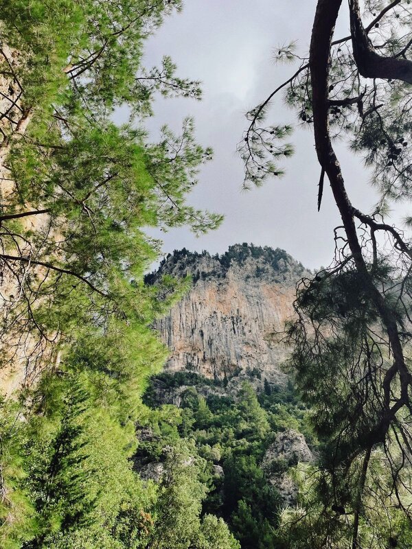 Горные кручи - Георгиевич 