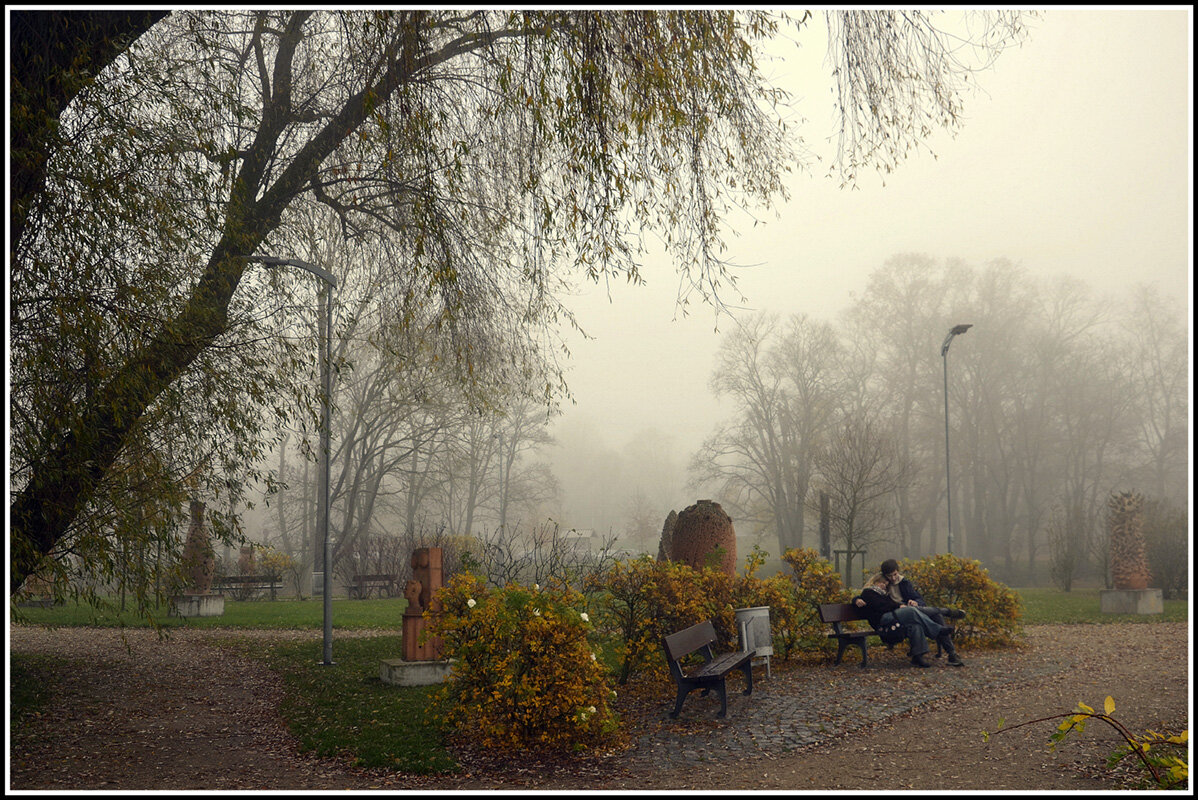 Туман не помеха.... - Aleksandr Gal