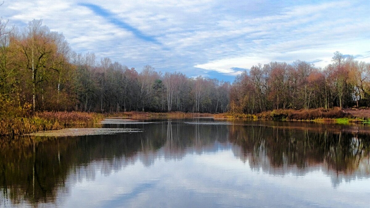 Осень в начале ноября. - Милешкин Владимир Алексеевич 