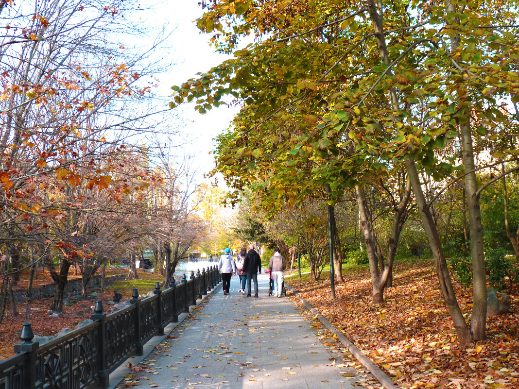 Осень золотая - Валентин Семчишин Осень золотая - Валентин Семчишин