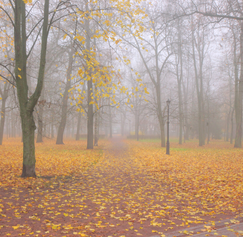 *** - Сергей Григорьев