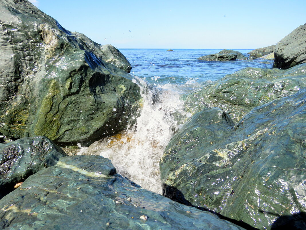 Берега Охотского моря - ИРЭН@ .