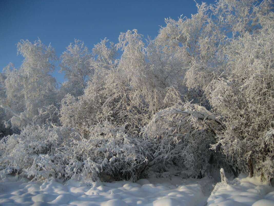 Солнечный день - Anna Ivanova Солнечный день - Anna Ivanova
