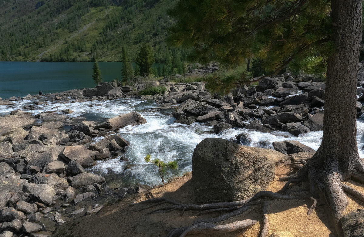 Шумы - Марина Фомина.