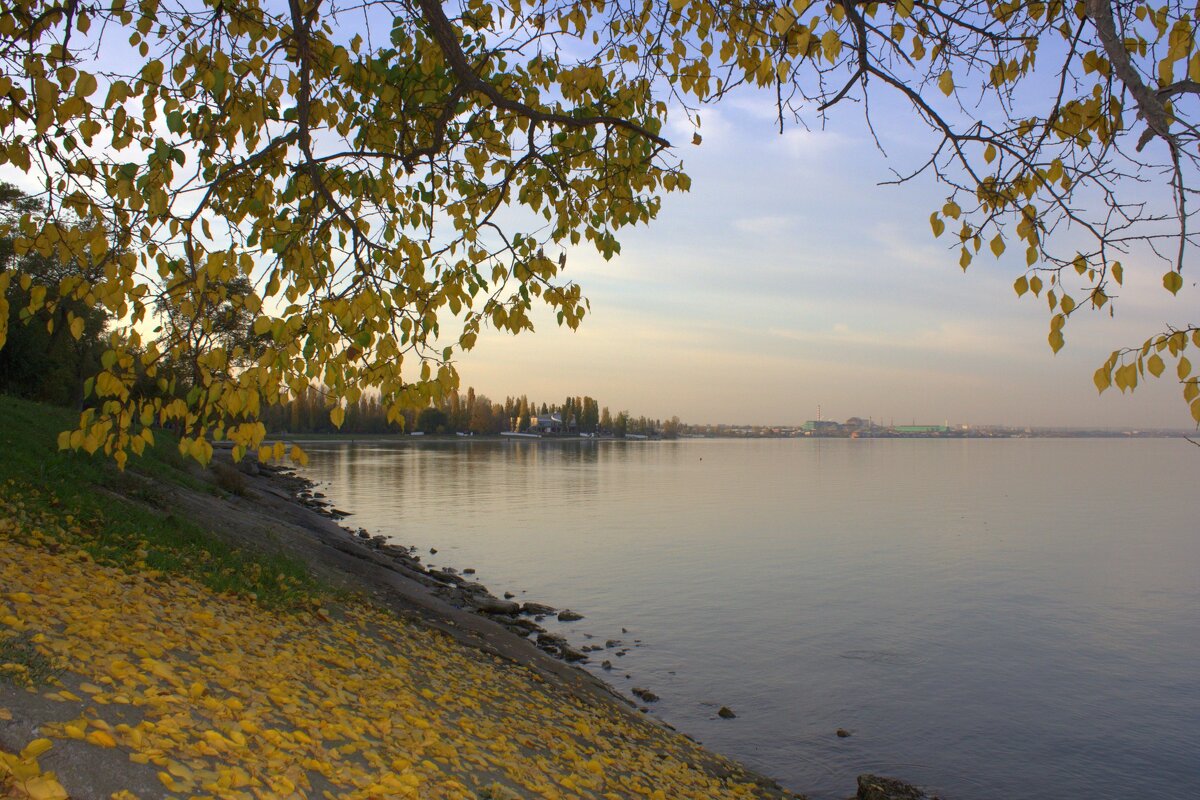 Набережная осенью - Оксана Новик 