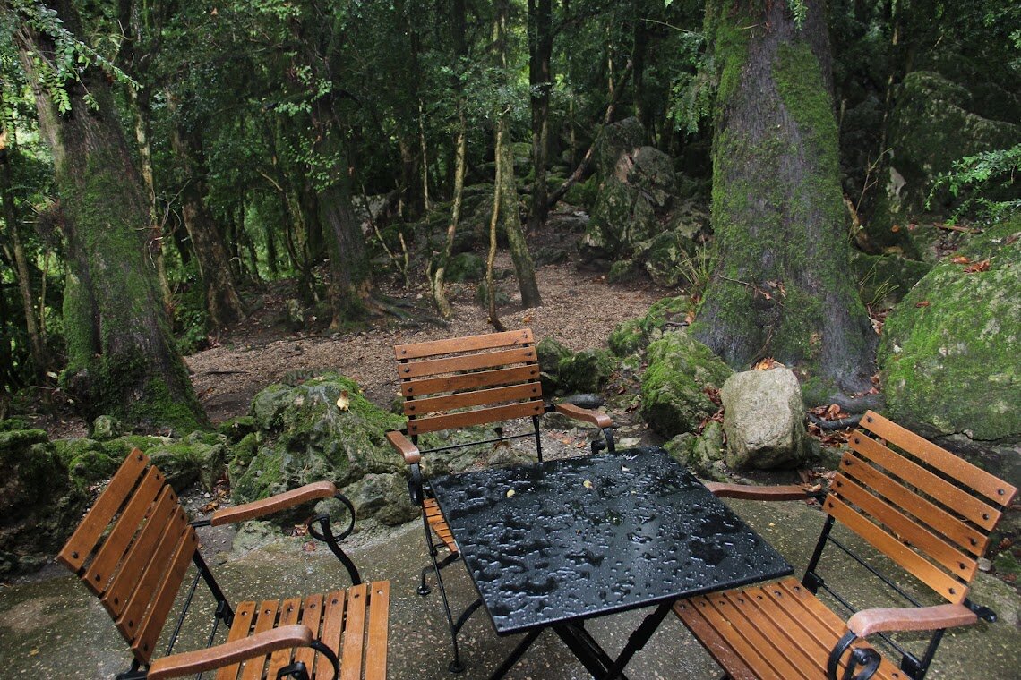 *** - Serega SchütZ