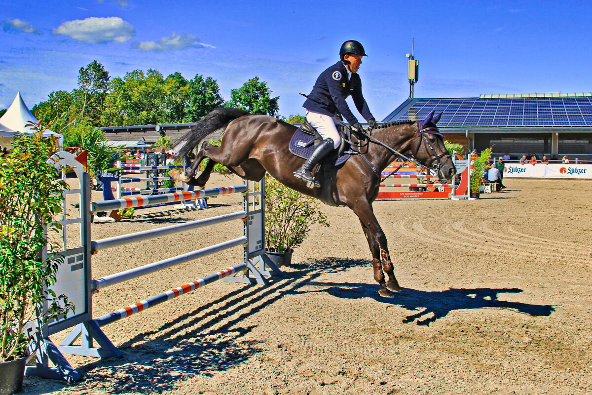 Конкур - Андрей K.