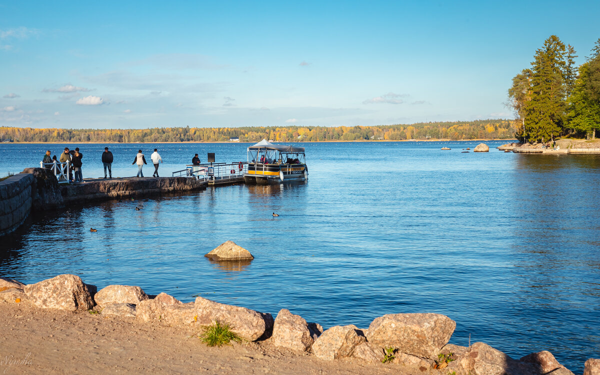 В парке Монрепо - Nyusha .
