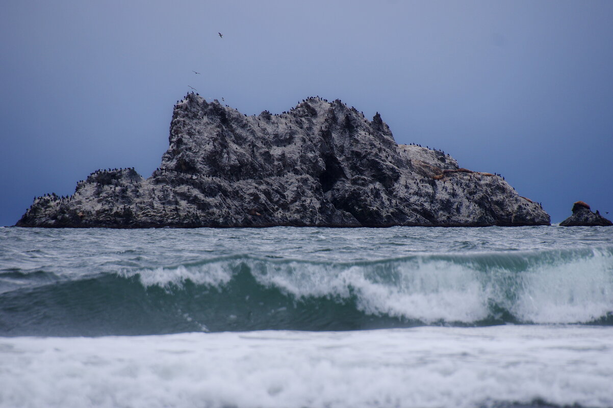 Волны Тихого океана - Сергей Швечков