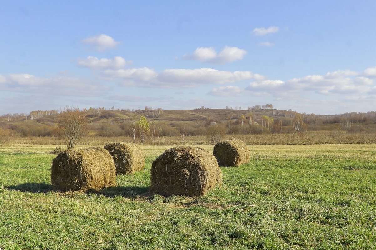 Сибирские просторы Кузбасса - Нина северянка Сибирские просторы Кузбасса - Нина северянка