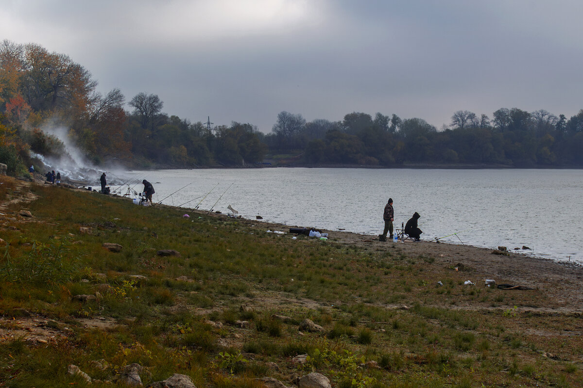 *** - Игорь Протасов