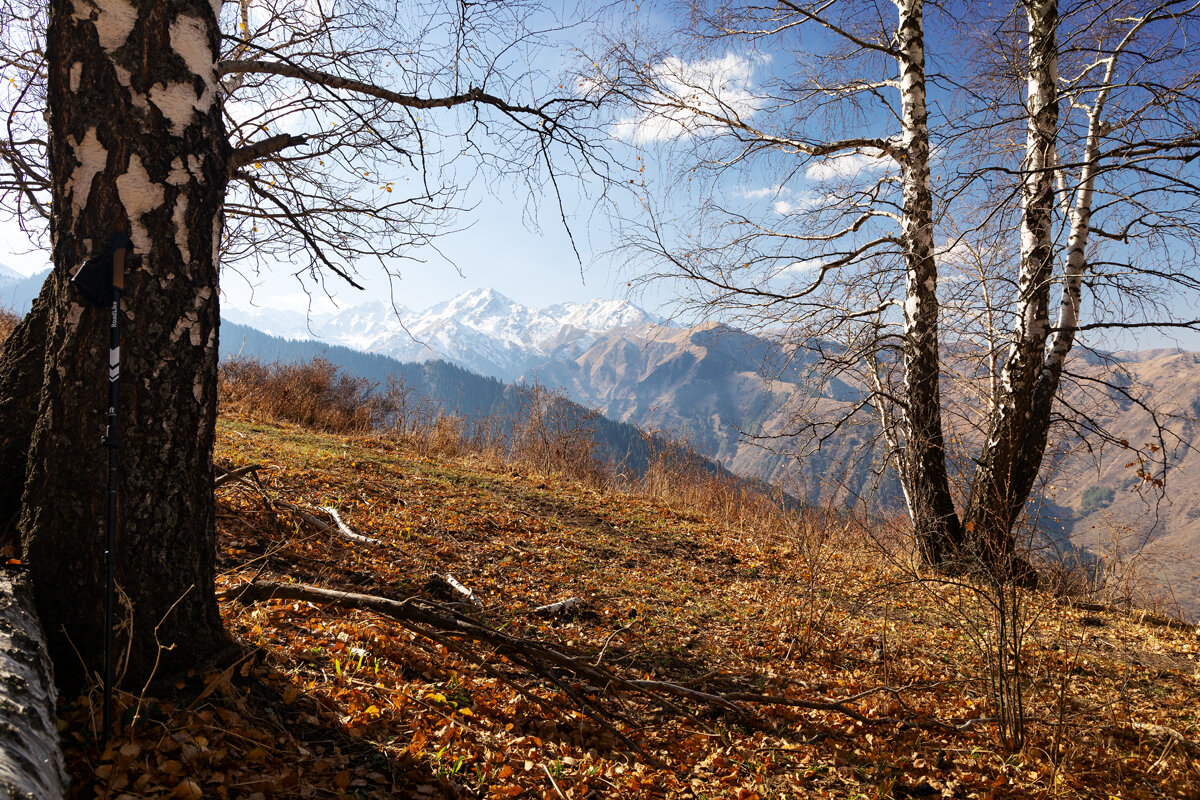 На привале. - Алексей Большаков