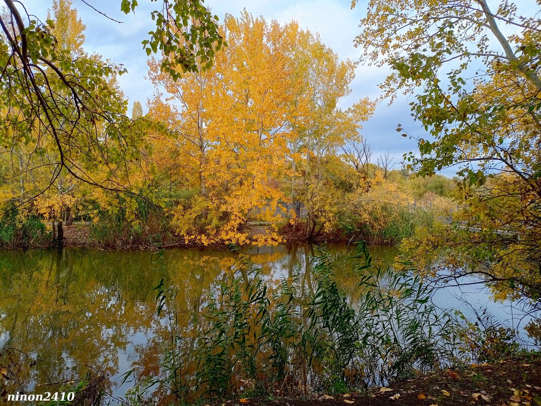 В ростовском экопарке Первая миля - Нина Бутко В ростовском экопарке Первая миля - Нина Бутко