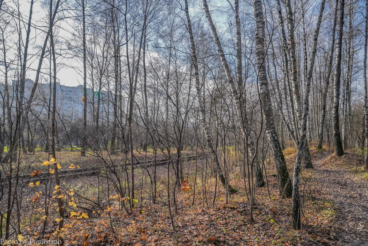 На опушке... - Владимир Жданов