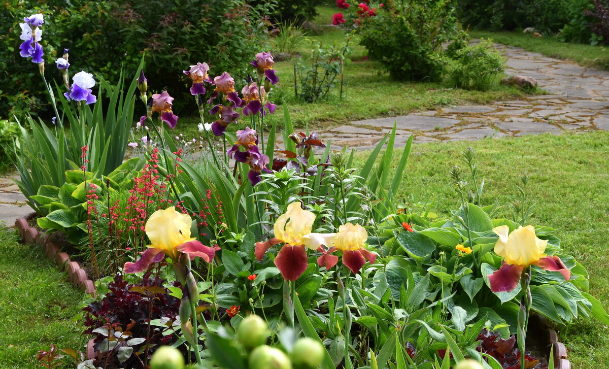 летнее - tatiana 