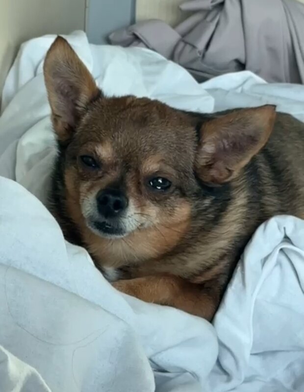 В поезде - Венера Чуйкова