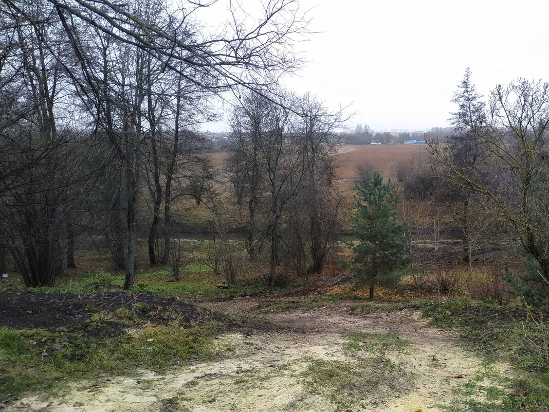 Осень... - Игорь Шевердин