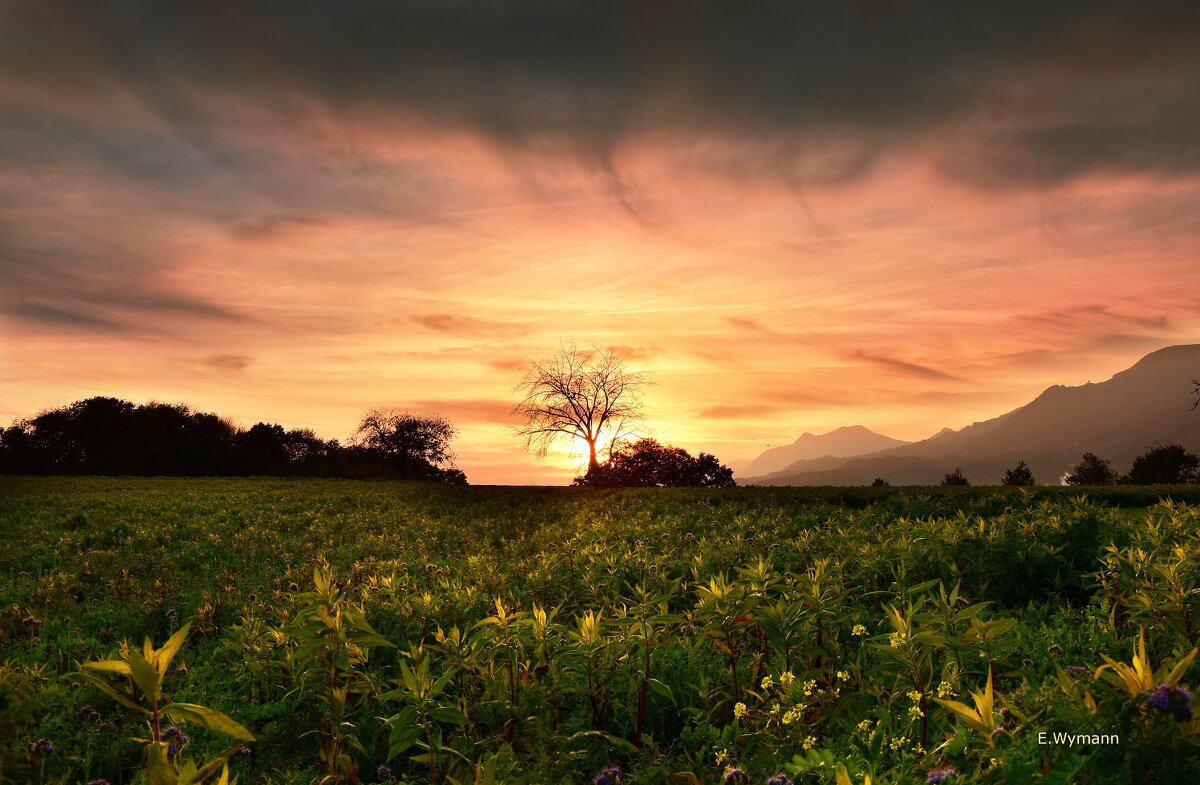 sunset - Elena Wymann