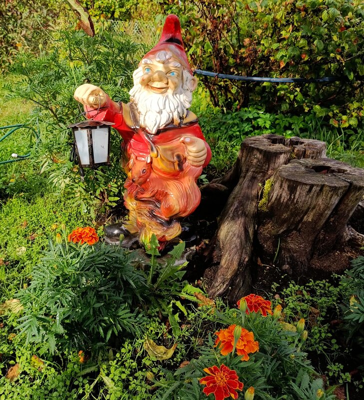 Гном Иваныч. - Ирина ***